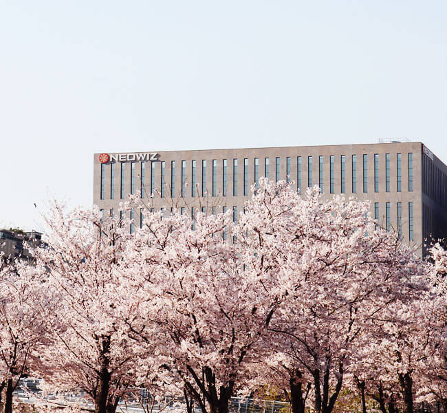 판교에 봄이 왔어요!